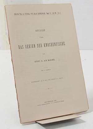 Seller image for Studien ber das Gehirn der Knochenfische for sale by Thulin&Ohlson AntiqBookseller Since 1918