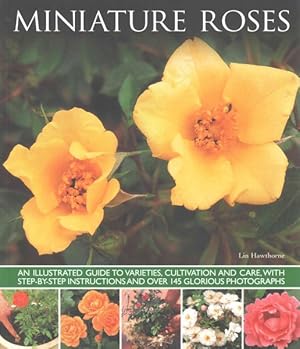 Seller image for Miniature Roses : An Illustrated Guide to Varieties, Cultivation and Care, With Step-by-Step Instructions and Over 145 Glorious Photographs for sale by GreatBookPricesUK