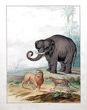 Imagen del vendedor de An Asian Elephant, a Lion and a Civet Cat in a Landscape a la venta por Arader Galleries Drawings & Watercolors