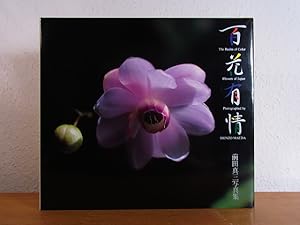 Bild des Verkufers fr The Realm of Color. Flowers of Japan. Photographed by Shinzo Maeda [English - Japanese] zum Verkauf von Antiquariat Weber