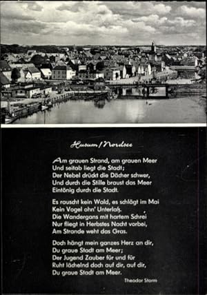 Bild des Verkufers fr Ansichtskarte / Postkarte Husum in Nordfriesland, Panorama, Gedicht v. Theodor Storm zum Verkauf von akpool GmbH