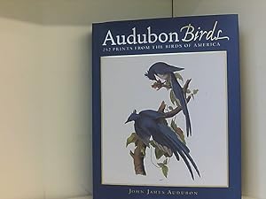 Seller image for Audubon Birds for sale by Book Broker