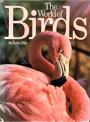The World of Birds - 1972