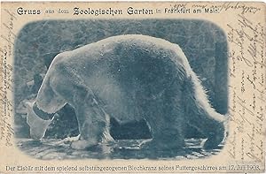 AK Gruss aus dem Zoologischen Garten in Frankfurt am Main. ca. 1905