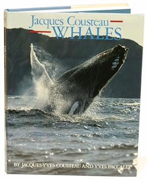 Seller image for Whales. for sale by Andrew Isles Natural History Books