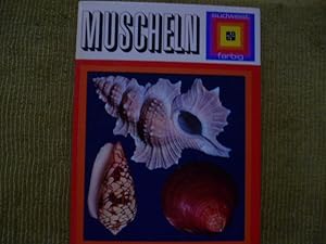 Seller image for Muscheln for sale by Pia Vonarburg