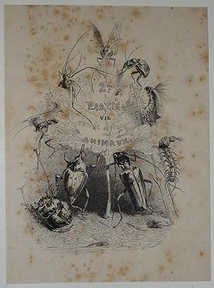 Bild des Verkufers fr Gravure d'aprs J.-J. Grandville tire du "Recueil comique de belles caricatures sur Chine" (1850) : Scnes de la vie prive et publique des animaux zum Verkauf von Abraxas-libris