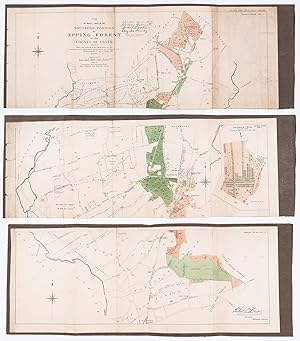 (Epping Forest). Plan of Waste Lands in the Northern Portion of Epping Forest in the County of Es...