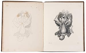 Memoir on the Pearly Nautilus (Nautilus Pompilius, Linn.) with Illustrations of its External Form...