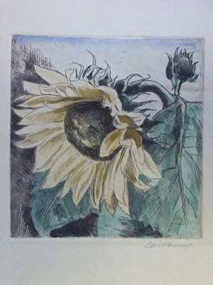 Sonnenblume - Handcolorierte Radierung