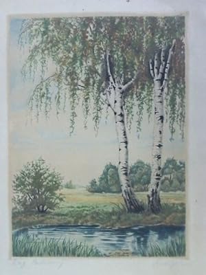Zwei Birken am Ufer - Original Farbradierung