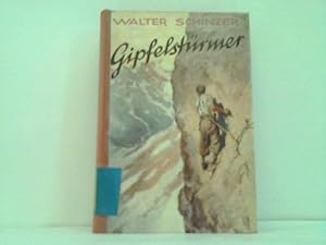 Gipfelstürmer. Eine Erzählung aus der Wunderwelt der Alpen