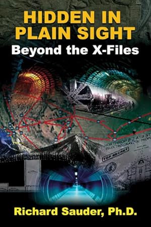 Bild des Verkufers fr Hidden in Plain Sight : Beyond the X-files zum Verkauf von GreatBookPrices