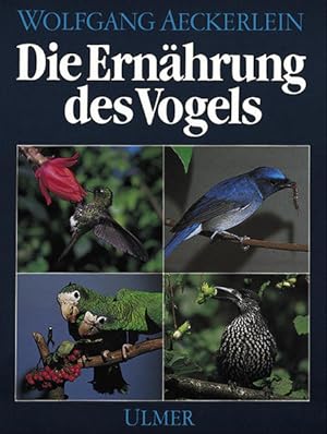 Die Ernährung des Vogels