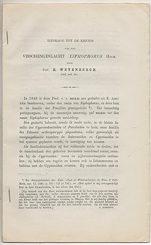 Immagine del venditore per Bijdrage tot de kennis van het visschengeslacht Xiphophorus Heck. Sonderdruck aus: Verslagen en Mededeelingen der Koninklijke Akademie van Wetenschappen. Afdeeling Natuurkunde 8, 291-308. venduto da Wissenschaftliches Antiquariat K�ln Dr. Sebastian Peters UG