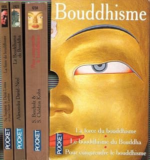 Immagine del venditore per La Force Du Bouddhisme : Mieux Vivre dans le Monde D'aujourd'hui - Le Bouddhisme De Bouddha - Pour Comprendre Le Bouddhisme venduto da Au vert paradis du livre
