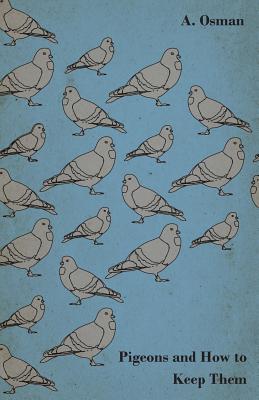 Seller image for Pigeons and How to Keep Them (Paperback or Softback) for sale by BargainBookStores