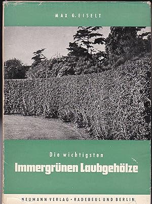 Bild des Verkufers fr Die wichtigsten immergrnen Laubgehlze zum Verkauf von Versandantiquariat Karin Dykes