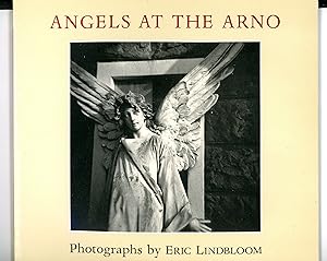 Seller image for Angels at the Arno for sale by The Reluctant Bookseller