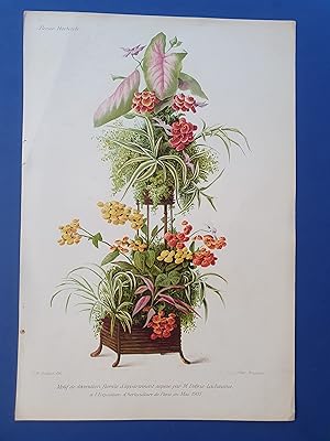 Fleurs Revue HORTICOLE - Lithographie couleurs XIXe Siècle - "Motif de décoration florale d'appar...