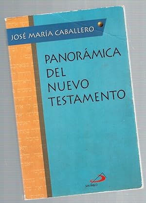 Imagen del vendedor de Panormica del Nuevo Testamento a la venta por Librera Dilogo