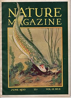 Image du vendeur pour Nature Magazine: June, 1930. Volume 15, Number 6 mis en vente par Recycled Books & Music