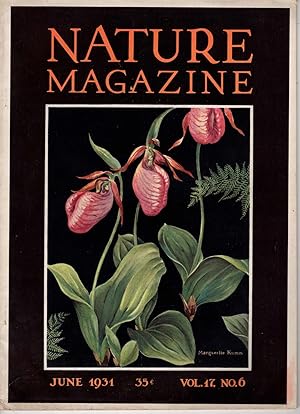 Image du vendeur pour Nature Magazine: June, 1931. Volume 17, Number 6 mis en vente par Recycled Books & Music