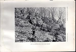 Bild des Verkufers fr PRINT: "View of Annapolis Rock White Flint Deposit" . Plate VIII from Maryland Geological Survey Volume Twelve zum Verkauf von Dorley House Books, Inc.