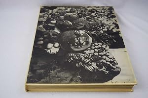 Seller image for Gli Scultori del Cassaro for sale by Lotzabooks