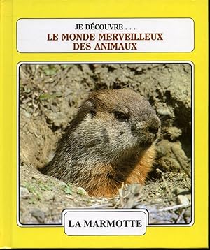 Seller image for La Marmotte / L'Alligator for sale by Librairie Le Nord