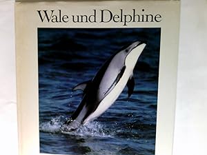 Seller image for Wale und Delphine. Aus dem Amerikan. bers. von Siegfried Schmitz for sale by Antiquariat Buchhandel Daniel Viertel