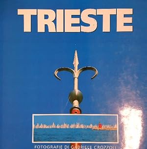 Imagen del vendedor de Trieste porta d'Oriente a la venta por Librodifaccia