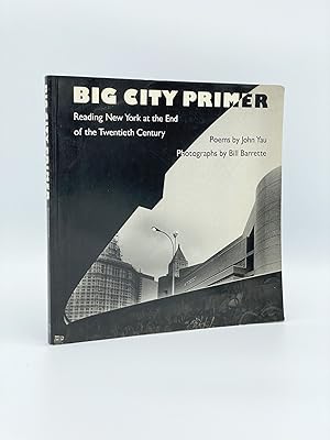 Immagine del venditore per Big City Primer: Reading New York at the End of the Twentieth Century venduto da Riverrun Books & Manuscripts, ABAA