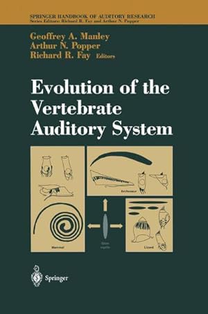Bild des Verk�ufers f�r Evolution of the Vertebrate Auditory System zum Verkauf von AHA-BUCH GmbH