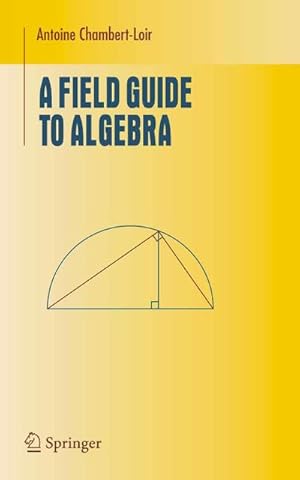 Bild des Verk�ufers f�r A Field Guide to Algebra zum Verkauf von AHA-BUCH GmbH