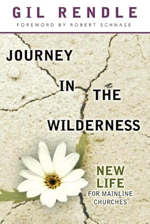Seller image for Journey in the Wilderness : New Life for Mainline Churches for sale by AHA-BUCH GmbH