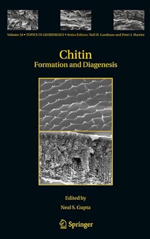 Seller image for Chitin : Formation and Diagenesis for sale by AHA-BUCH GmbH