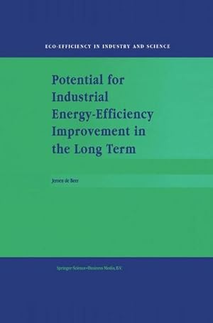 Bild des Verk�ufers f�r Potential for Industrial Energy-Efficiency Improvement in the Long Term zum Verkauf von AHA-BUCH GmbH