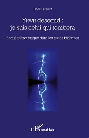 Immagine del venditore per YHWD descend: je suis celui qui tombera : Enqu�te linguistique dans les textes bibliques venduto da AHA-BUCH GmbH