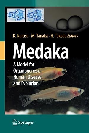 Immagine del venditore per Medaka : A Model for Organogenesis, Human Disease, and Evolution venduto da AHA-BUCH GmbH