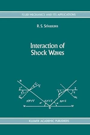 Bild des Verkufers fr Interaction of Shock Waves zum Verkauf von AHA-BUCH GmbH