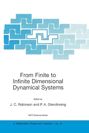 Bild des Verkufers fr From Finite to Infinite Dimensional Dynamical Systems zum Verkauf von AHA-BUCH GmbH