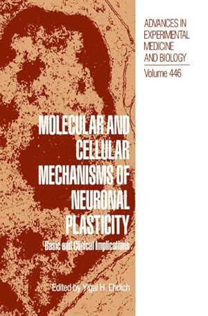 Immagine del venditore per Molecular and Cellular Mechanisms of Neuronal Plasticity : Basic and Clinical Implications venduto da AHA-BUCH GmbH