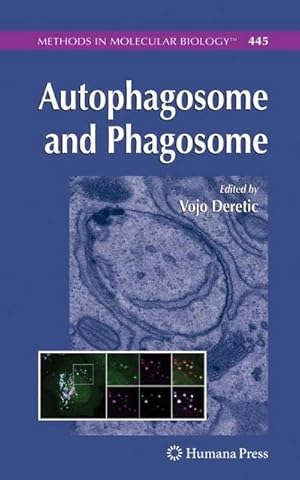 Imagen del vendedor de Autophagosome and Phagosome a la venta por AHA-BUCH GmbH