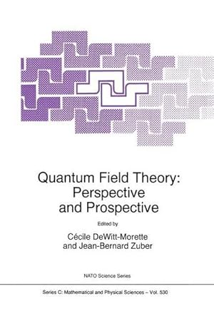 Seller image for Quantum Field Theory: Perspective and Prospective for sale by AHA-BUCH GmbH