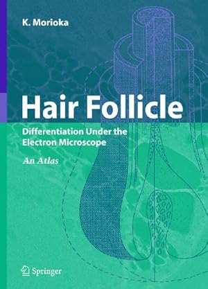 Bild des Verkufers fr Hair Follicle : Differentiation under the Electron Microscope - An Atlas zum Verkauf von AHA-BUCH GmbH