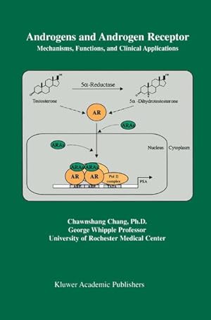 Immagine del venditore per Androgens and Androgen Receptor : Mechanisms, Functions, and Clini Applications venduto da AHA-BUCH GmbH