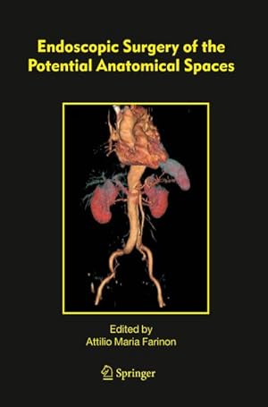 Seller image for Endoscopic Surgery of the Potential Anatomical Spaces for sale by AHA-BUCH GmbH