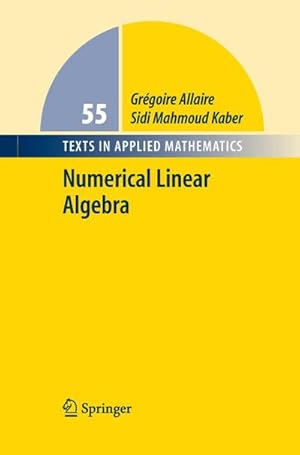 Bild des Verkufers fr Numerical Linear Algebra zum Verkauf von AHA-BUCH GmbH