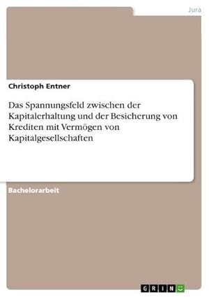 Bild des Verkufers fr Das Spannungsfeld zwischen der Kapitalerhaltung und der Besicherung von Krediten mit Vermgen von Kapitalgesellschaften zum Verkauf von AHA-BUCH GmbH